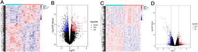 Shared diagnostic genes and potential mechanisms between polycystic ovary syndrome and recurrent miscarriage revealed by integrated transcriptomics analysis and machine learning